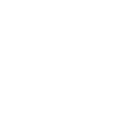 The Nikau Surf Show